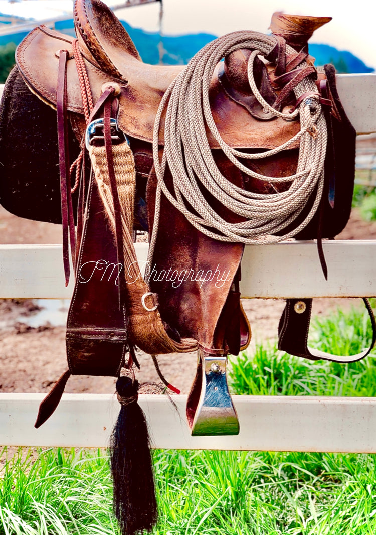 Used Tack