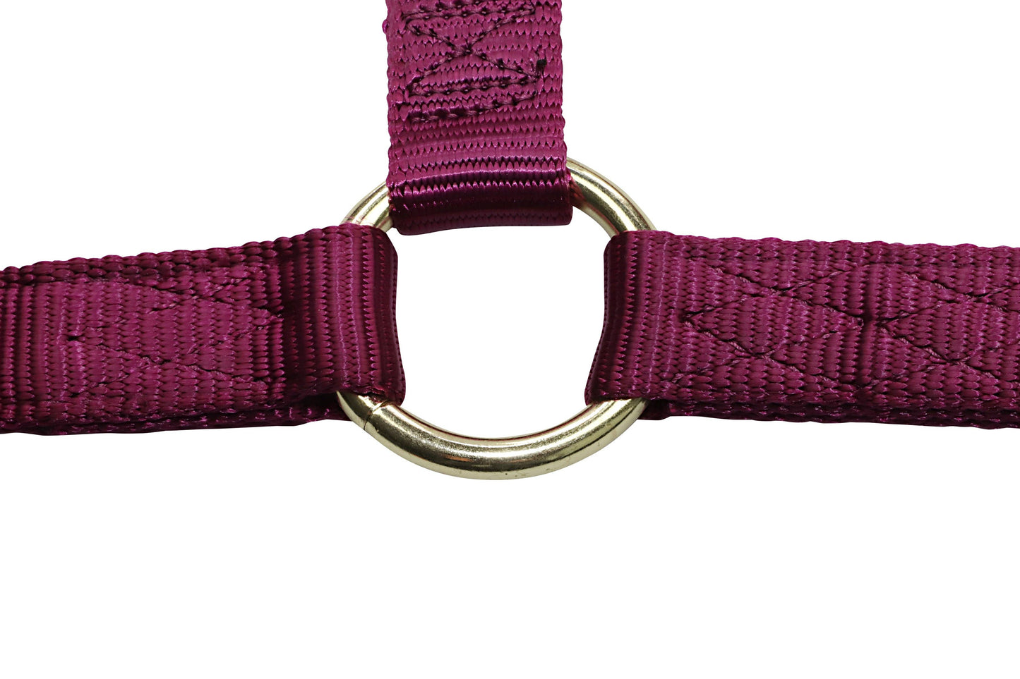 Premium Nylon Horse Halters