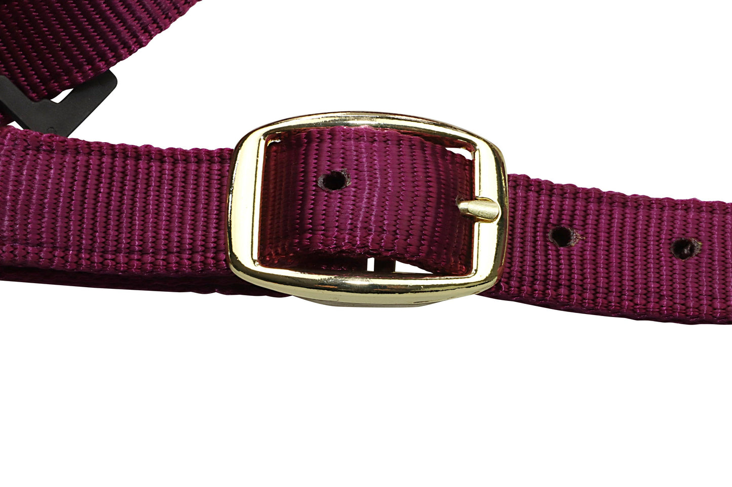 Premium Nylon Horse Halters