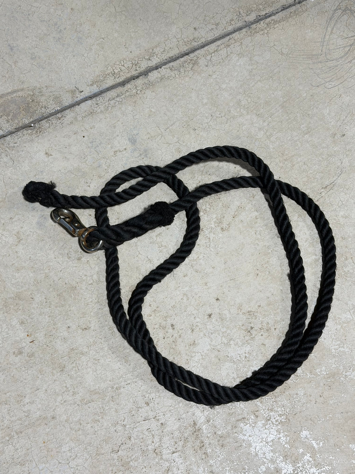 Black Cotton Lead Rope • Bull Snap • Used