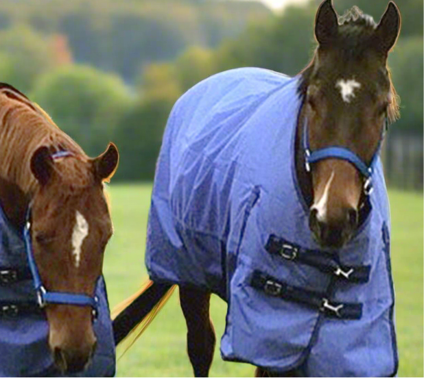 Premium Nylon Horse Halters