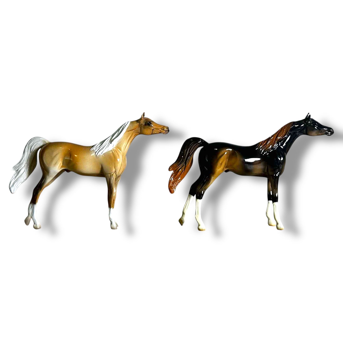 Peterstone Chip Arabian (Sold Individually)