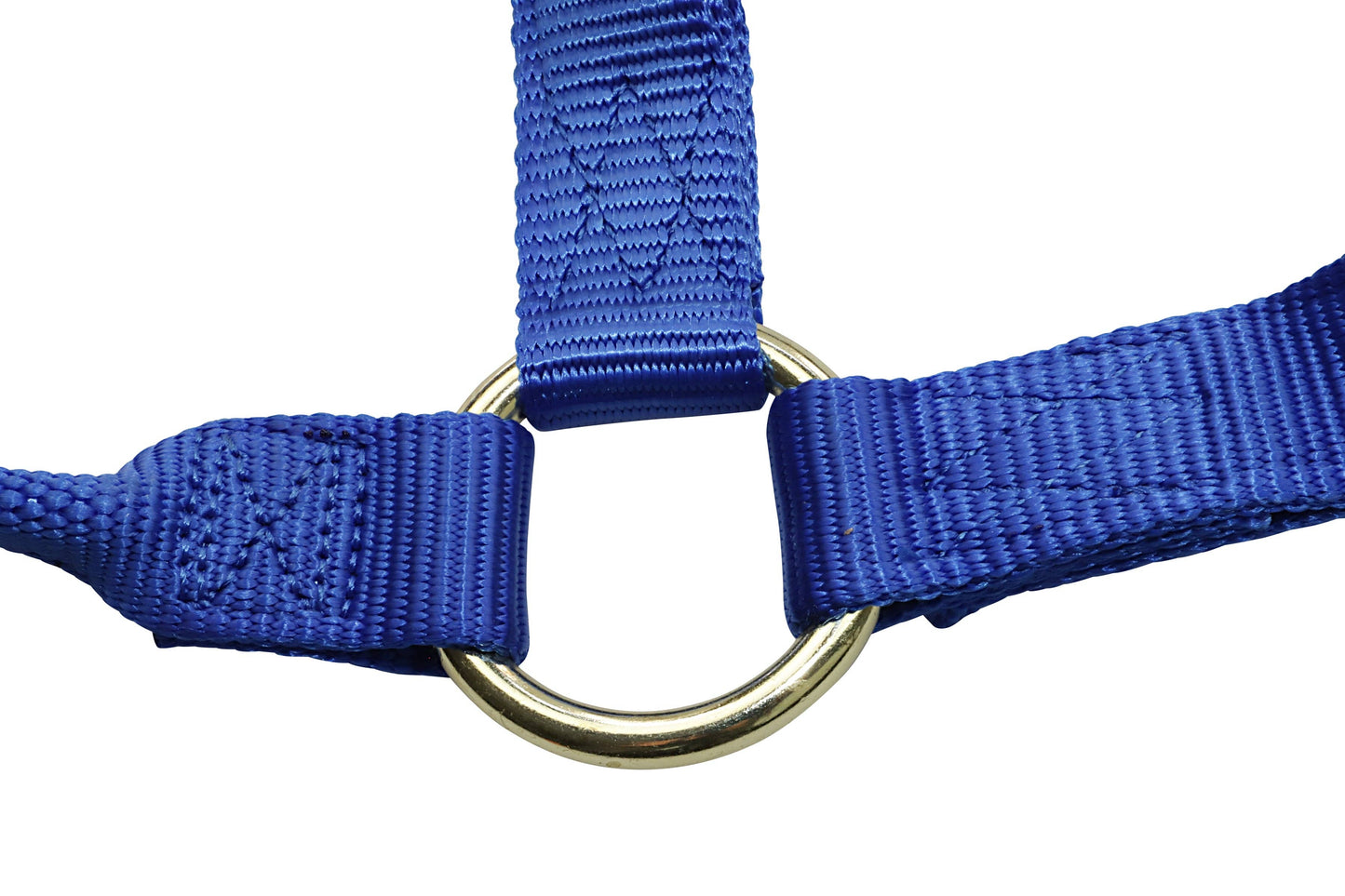 Premium Nylon Horse Halters
