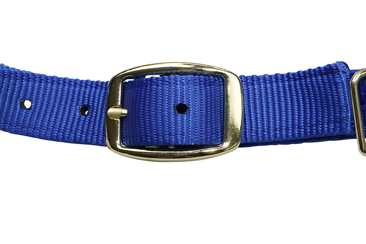 Premium Nylon Horse Halters