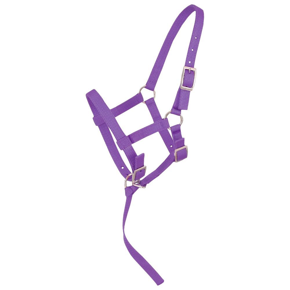 Adjustable Foal Halter