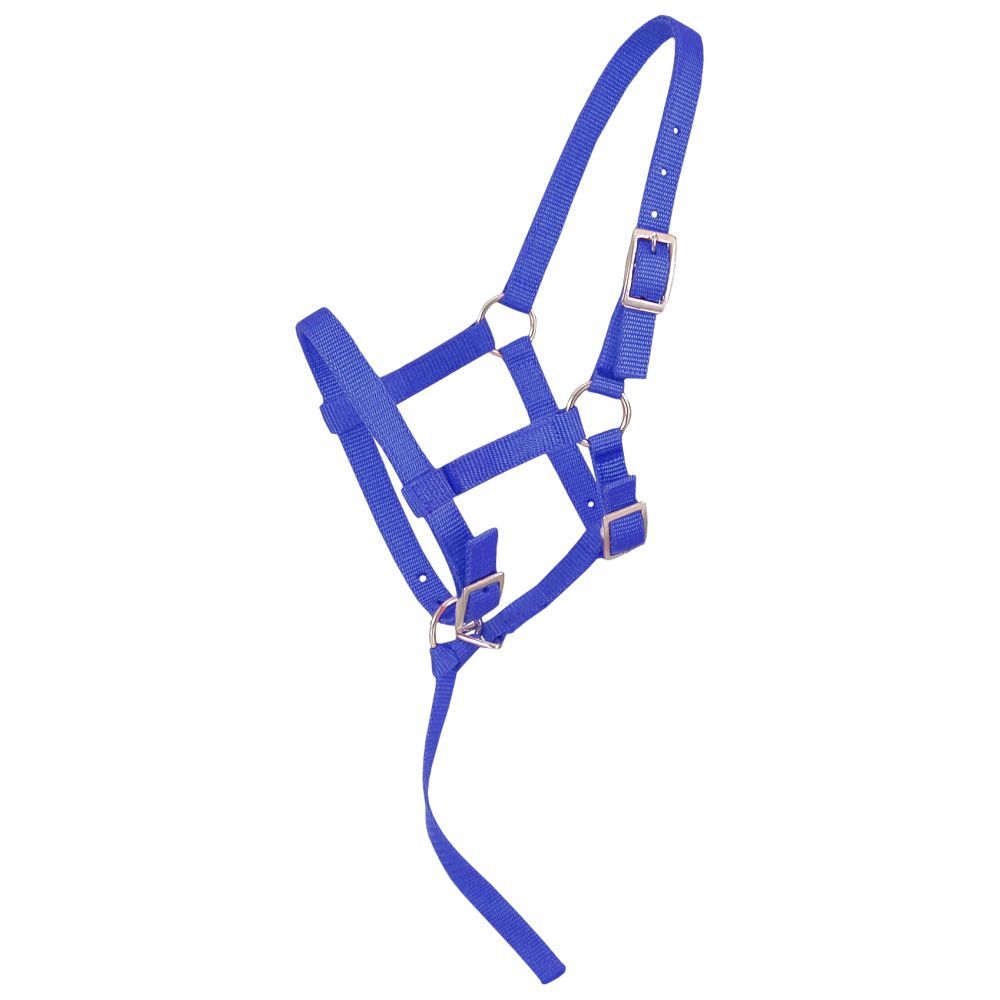 Adjustable Foal Halter