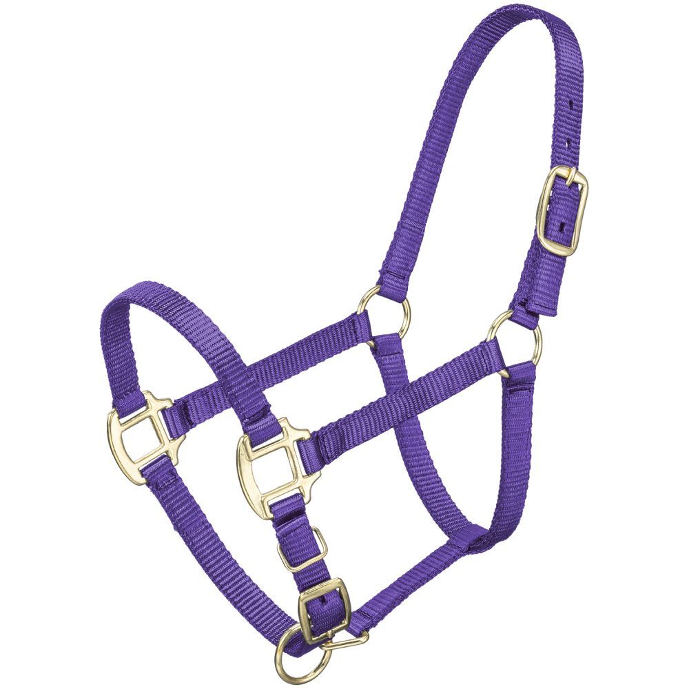 Premium Halter - Weanling