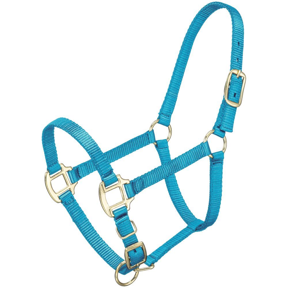 Premium Halter - Weanling