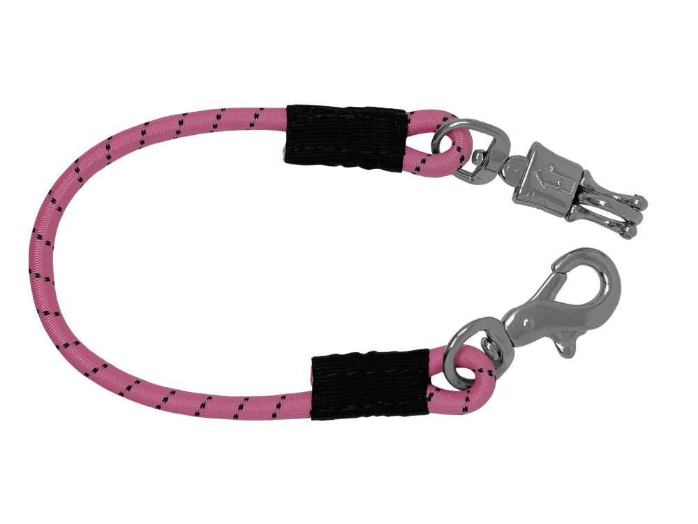 Bungee Trailer Tie
