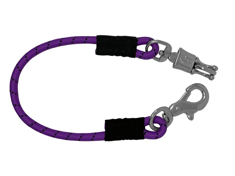 Bungee Trailer Tie