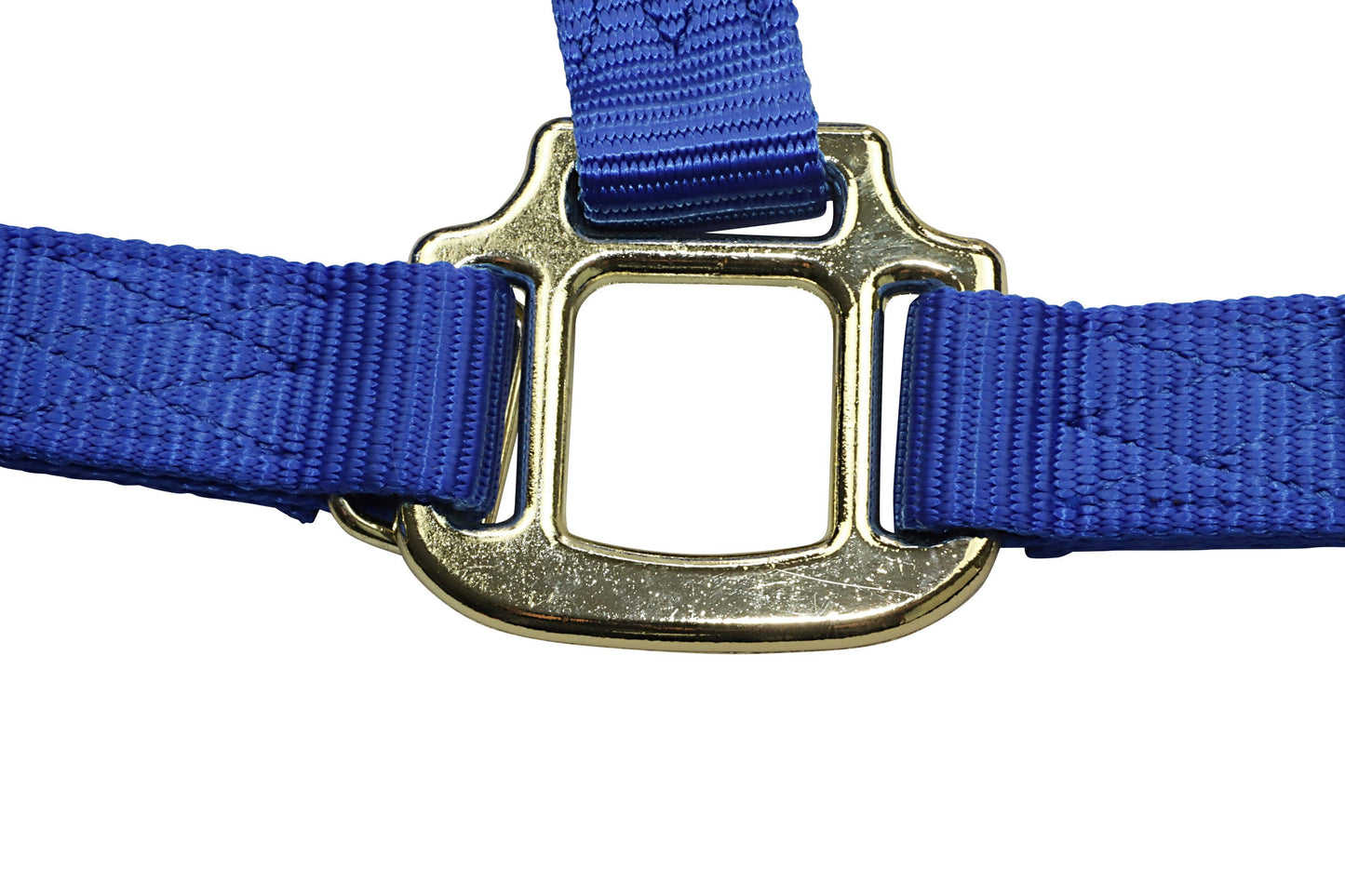 Premium Nylon Horse Halters