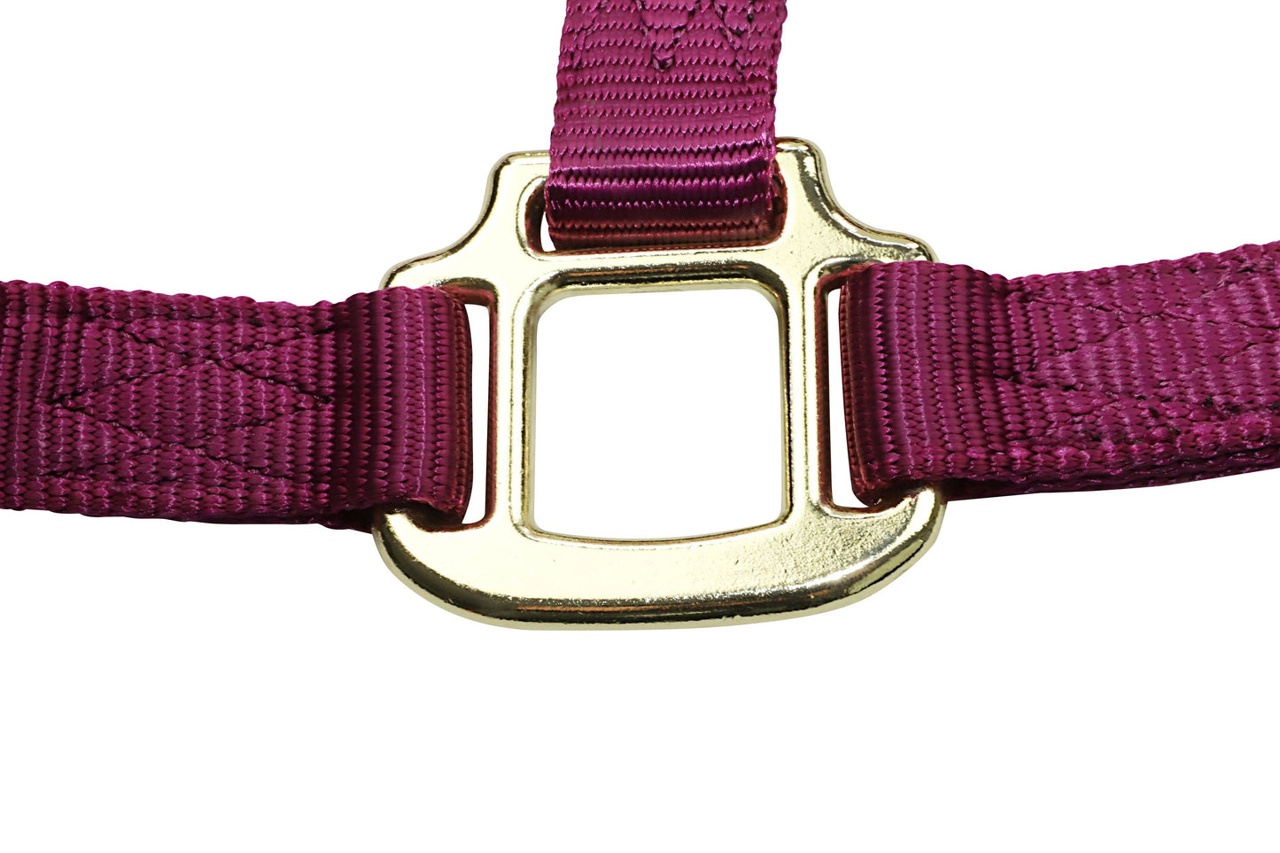 Premium Nylon Horse Halters
