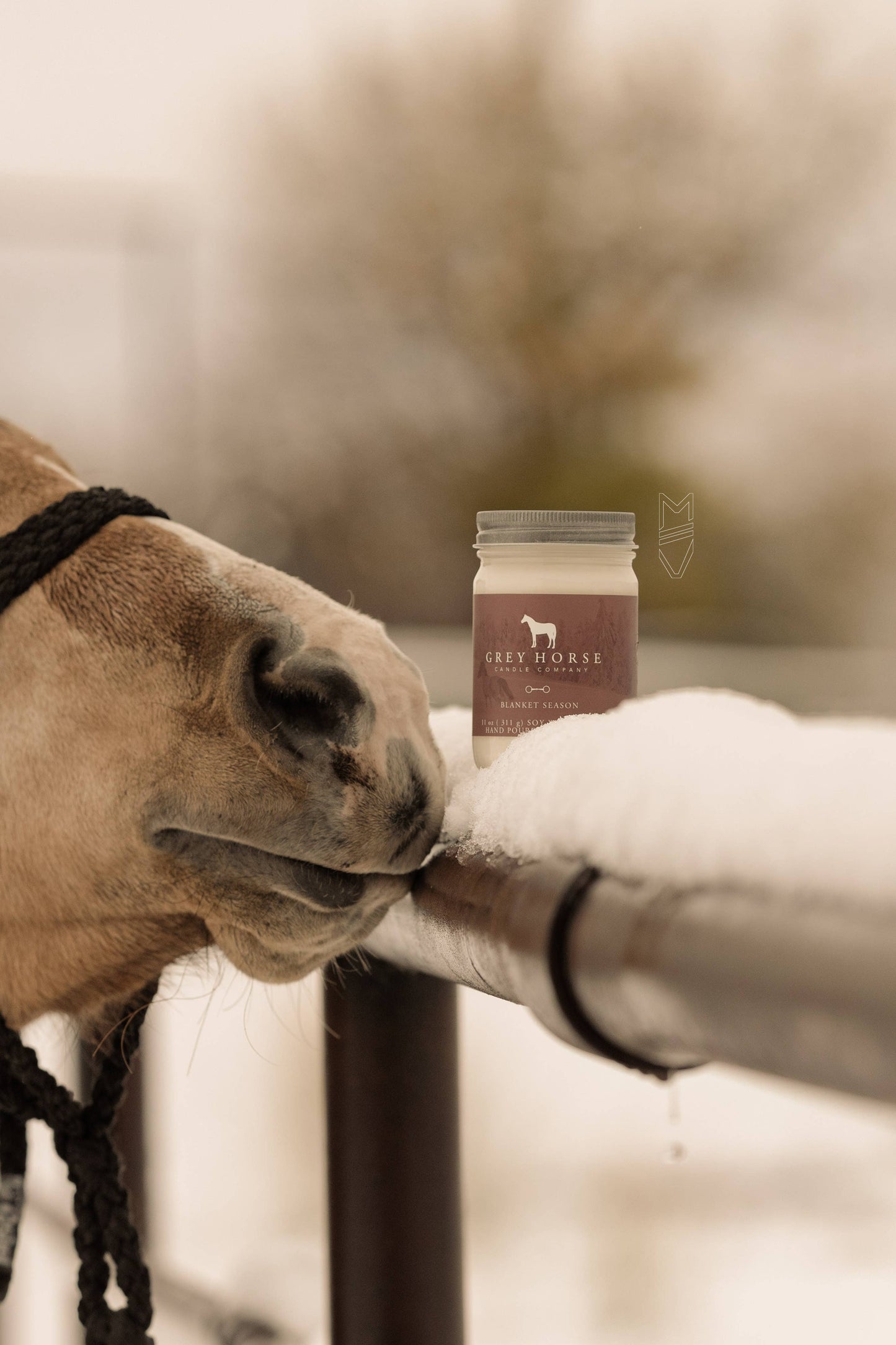 Blanket Season Soy Candle – Holiday Collection for Equestrians, 11 oz