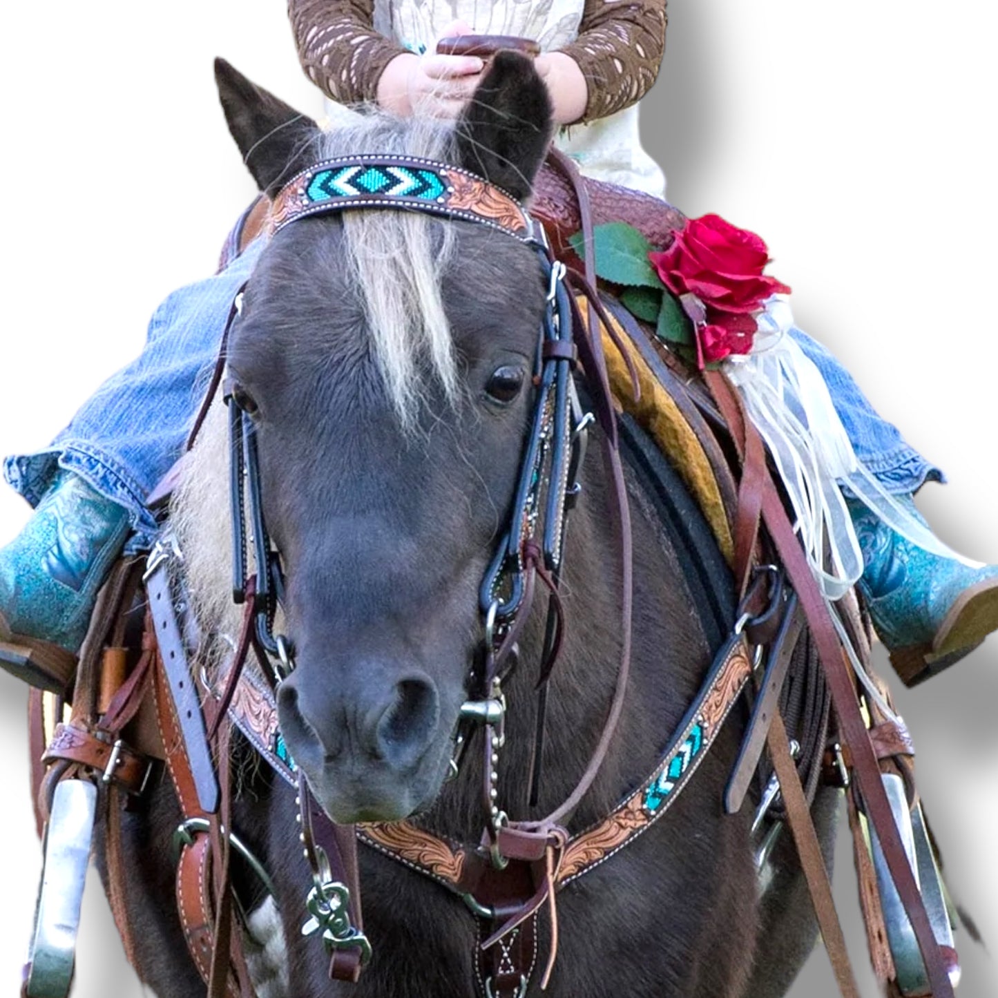 Weaver Beaded Headstall & Breastcollar Set