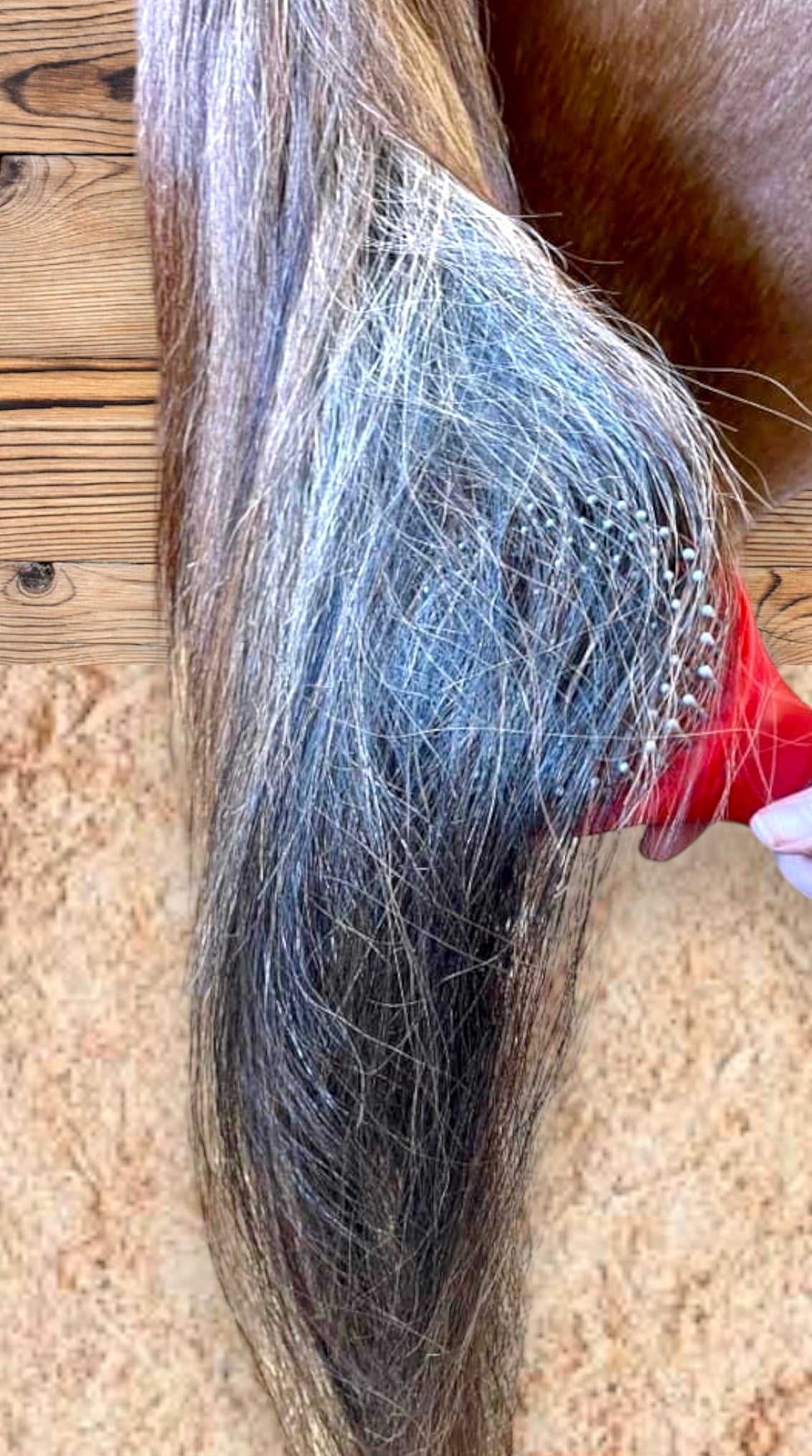 GREAT GRIPS MANE & TAIL BRUSH
