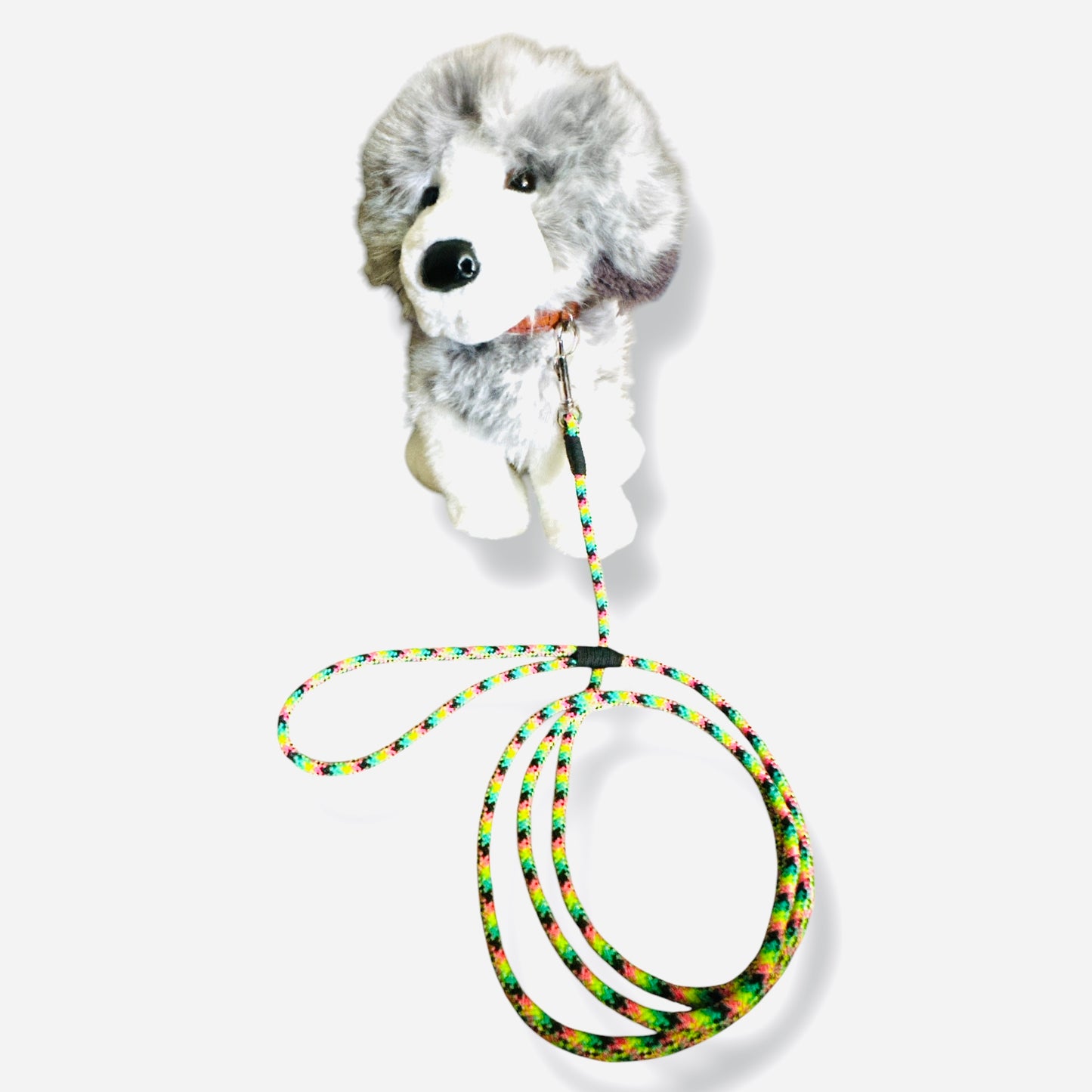 Thin Dog Leashes