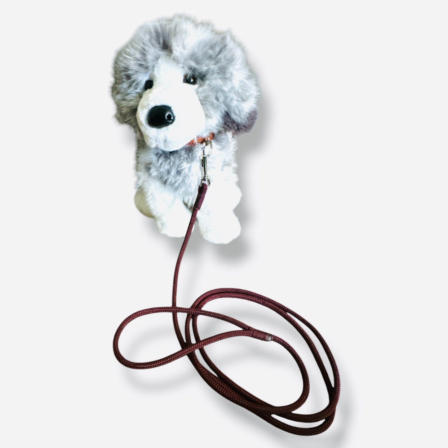 Thin Dog Leashes