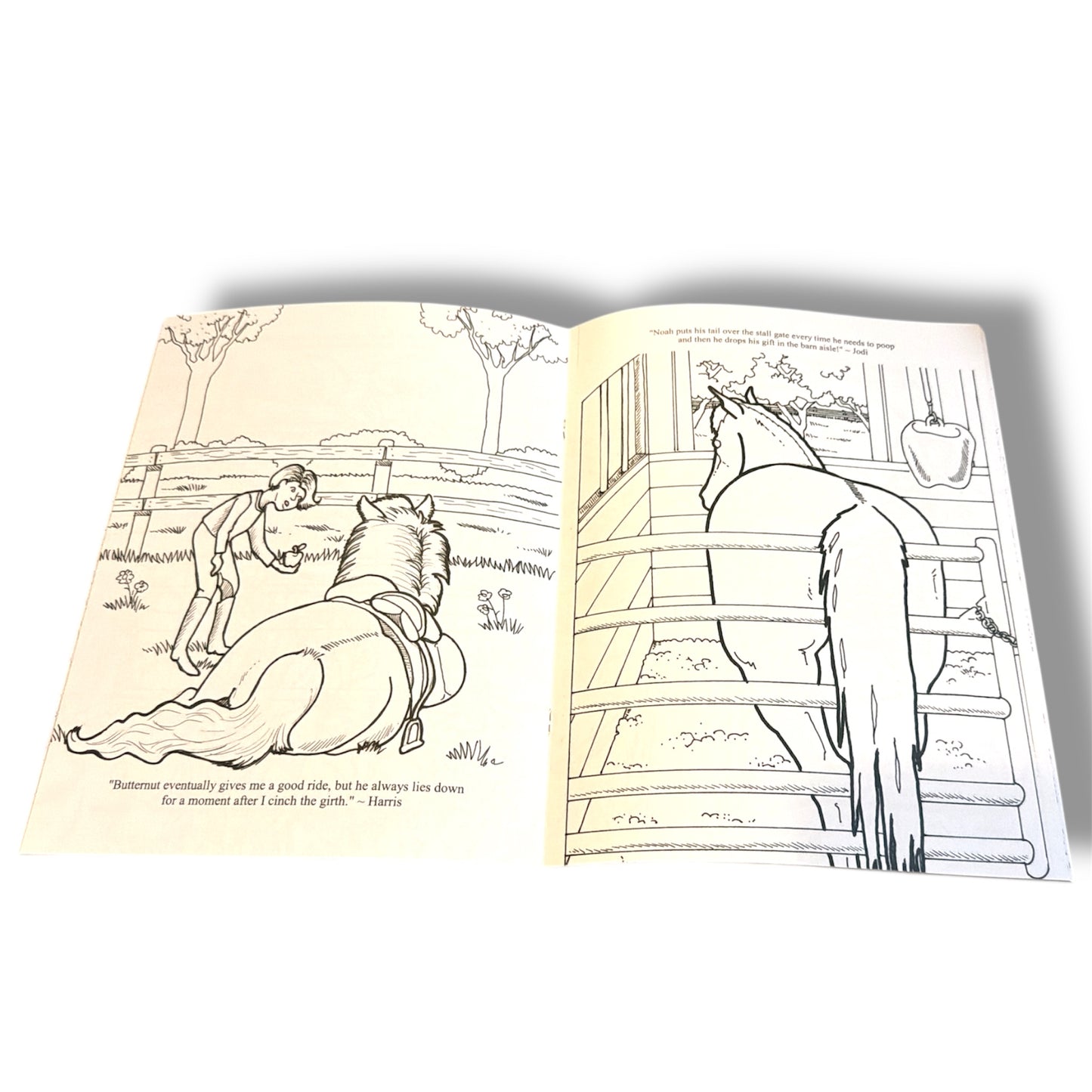 Horses Being Silly Coloring Book by Ellen C. Maze Sallas