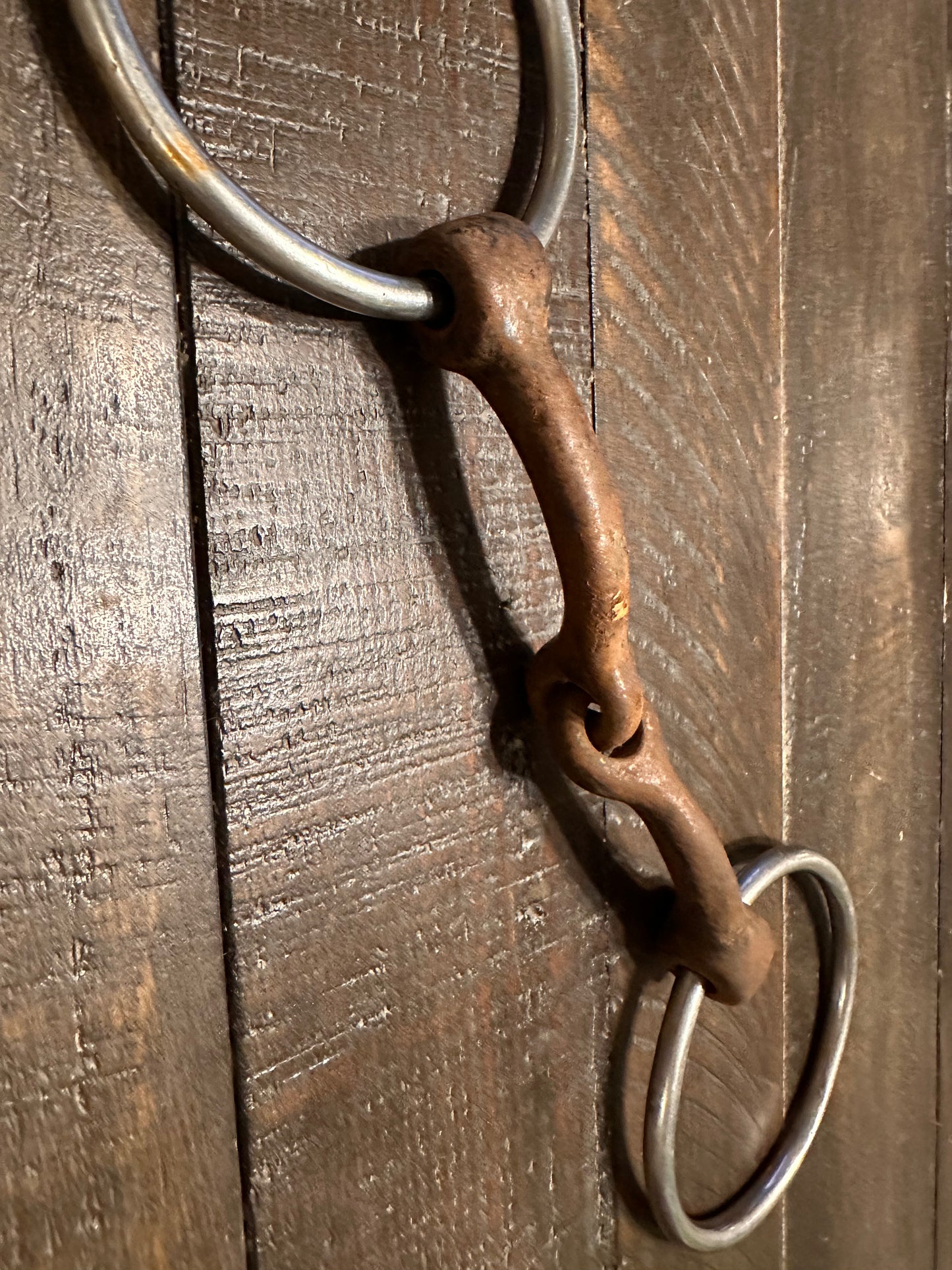 O Ring Snaffle
