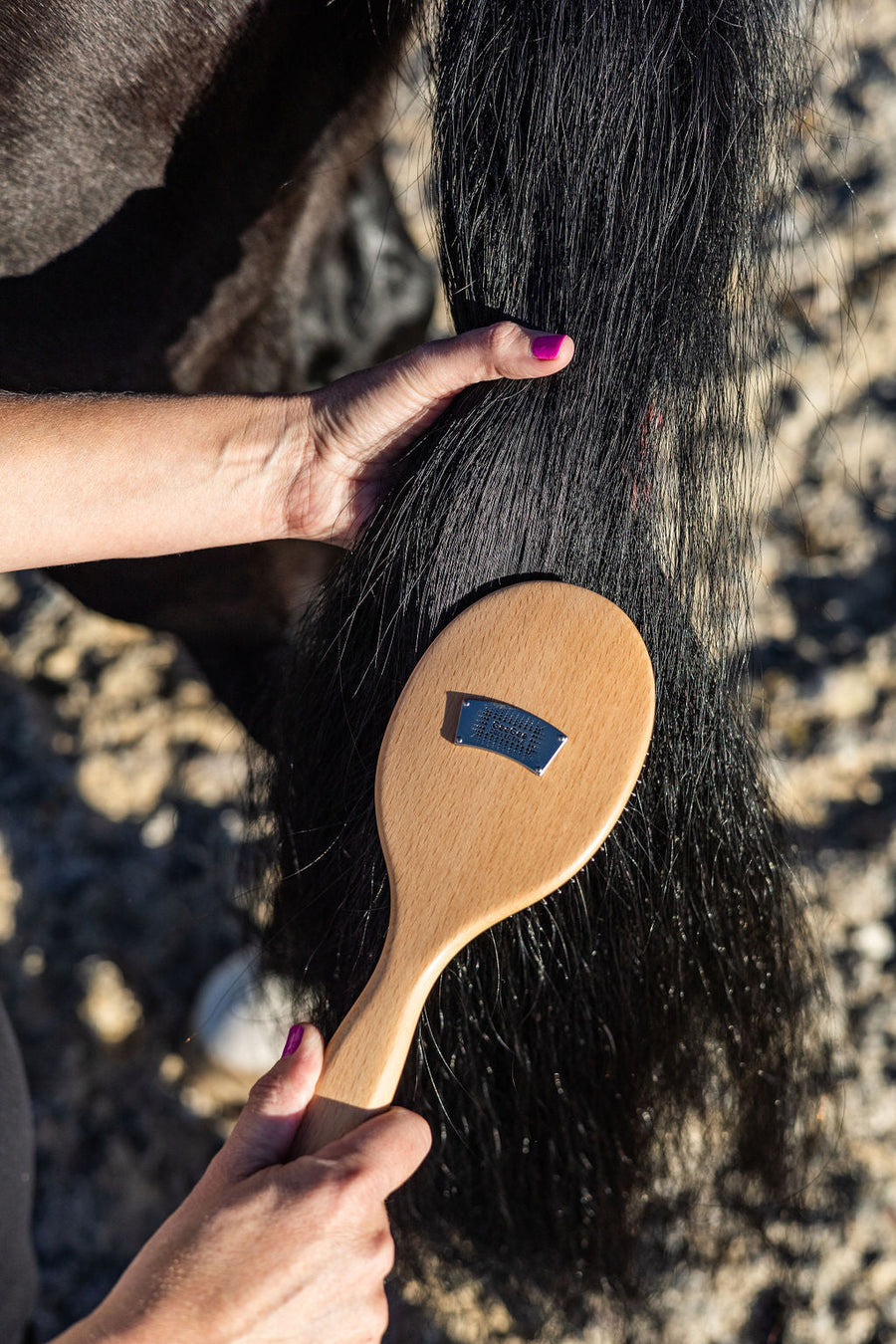 Mane and Tail Brush