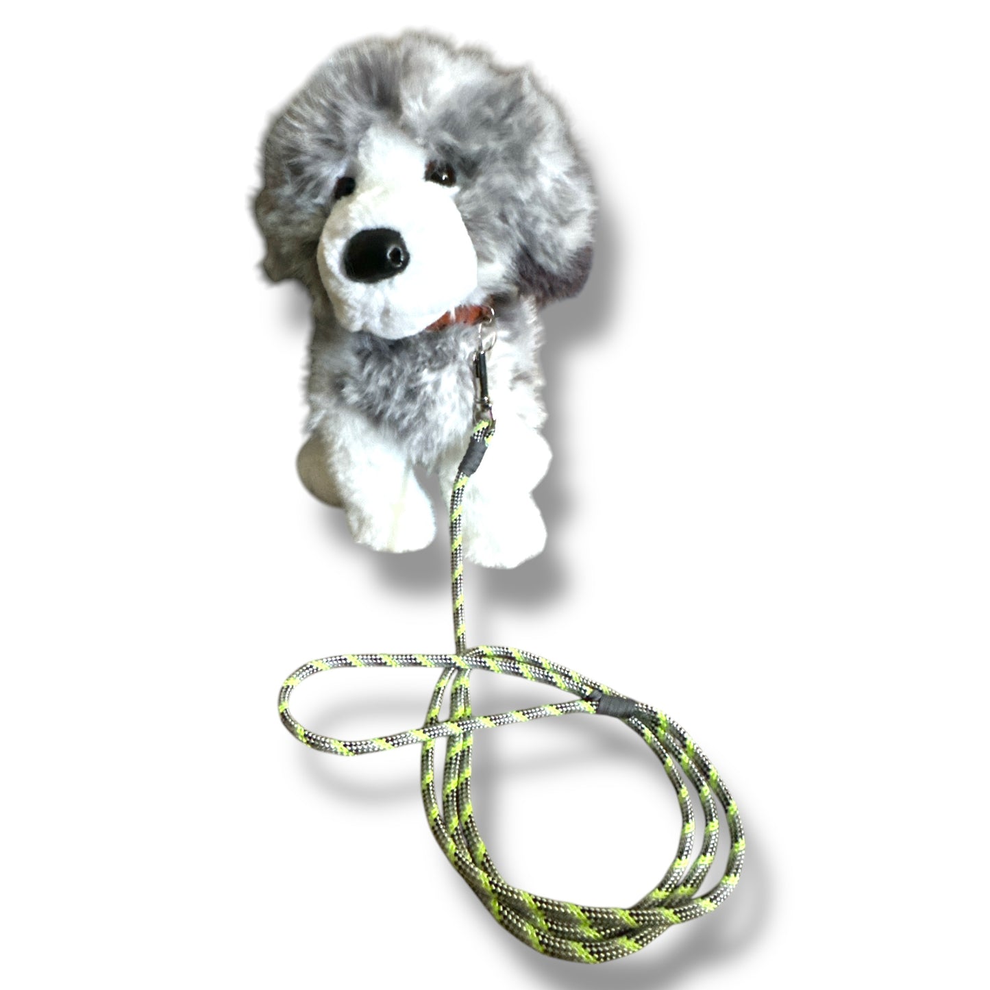 Thin Dog Leashes