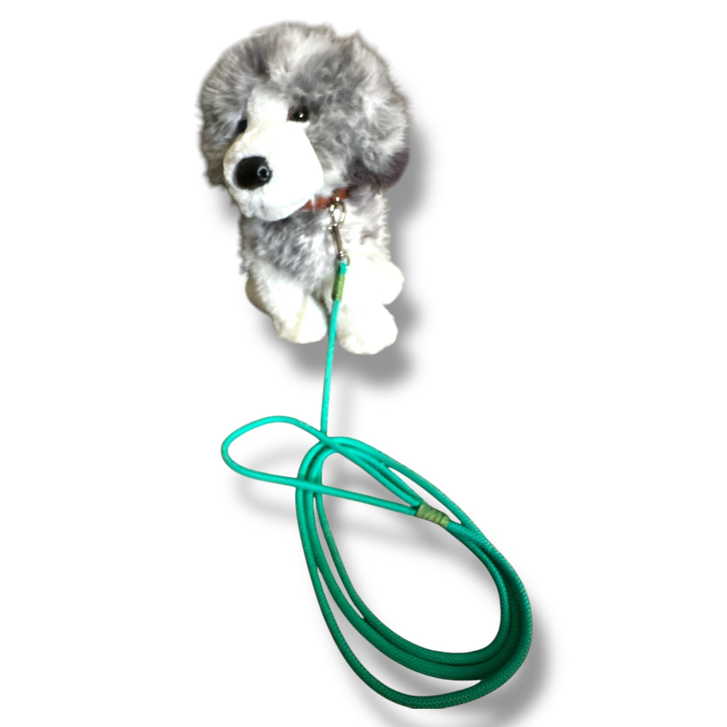 Thin Dog Leashes