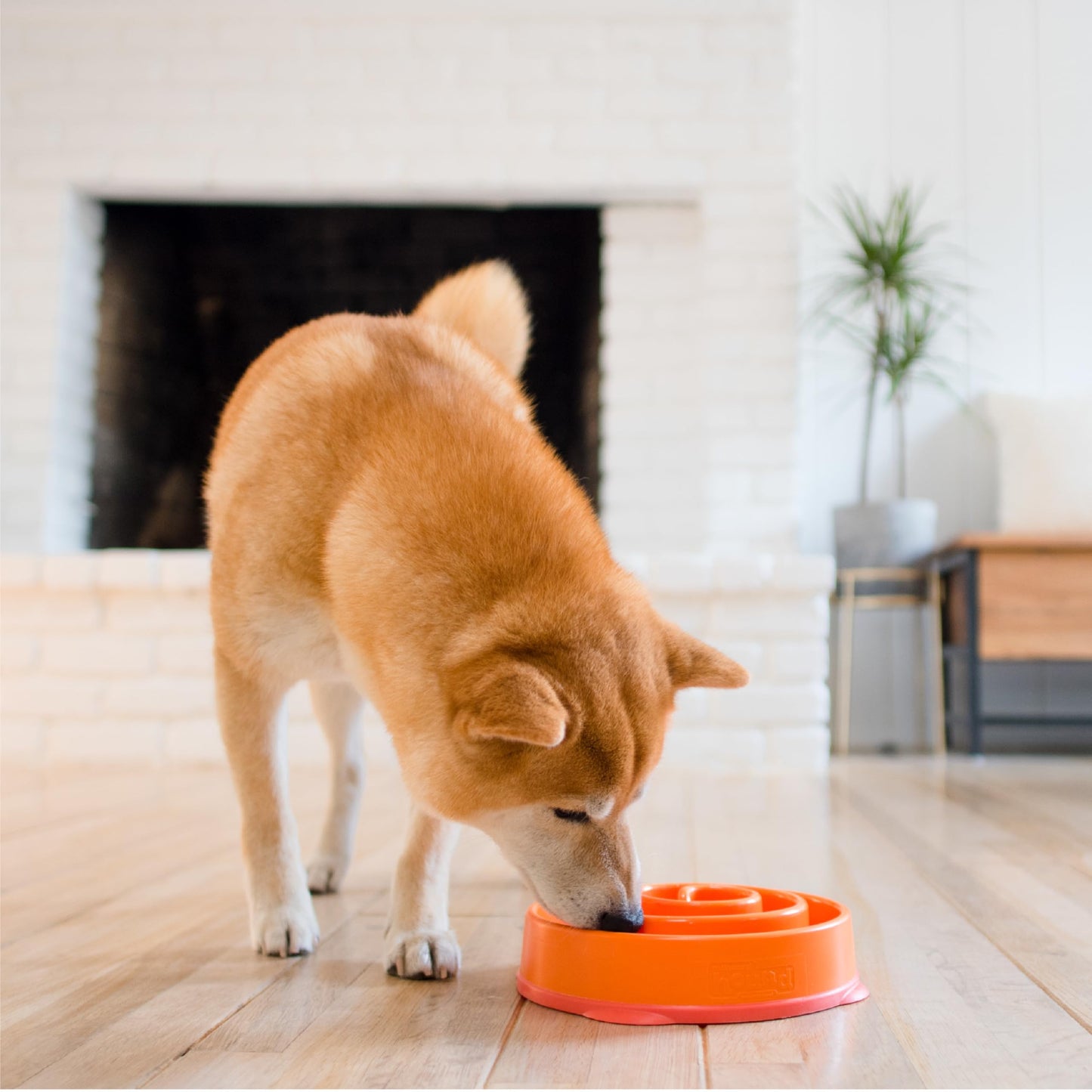 Outward Hound Fun Feeder Slo Bowl Orange Small