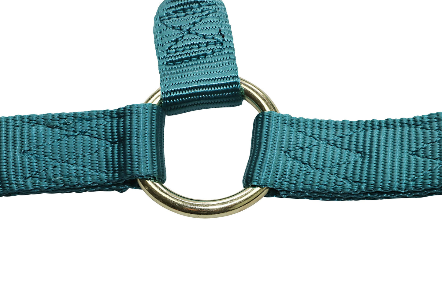 Premium Nylon Horse Halters