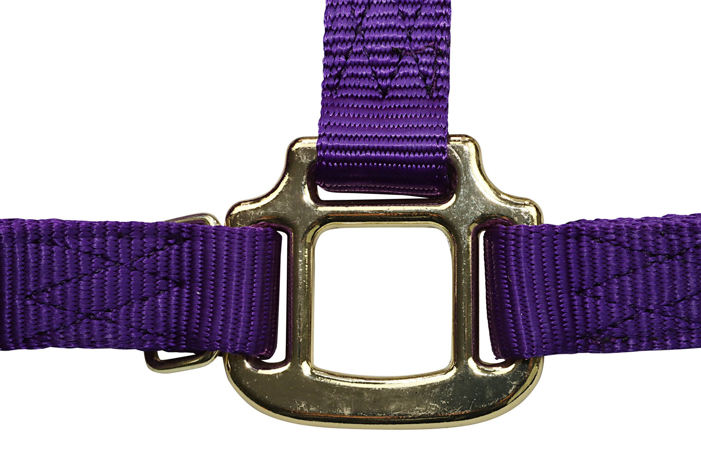 Premium Nylon Horse Halters