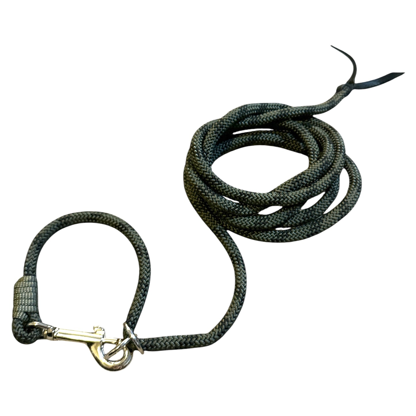 Fully Adjustable Leash & Collar Combination
