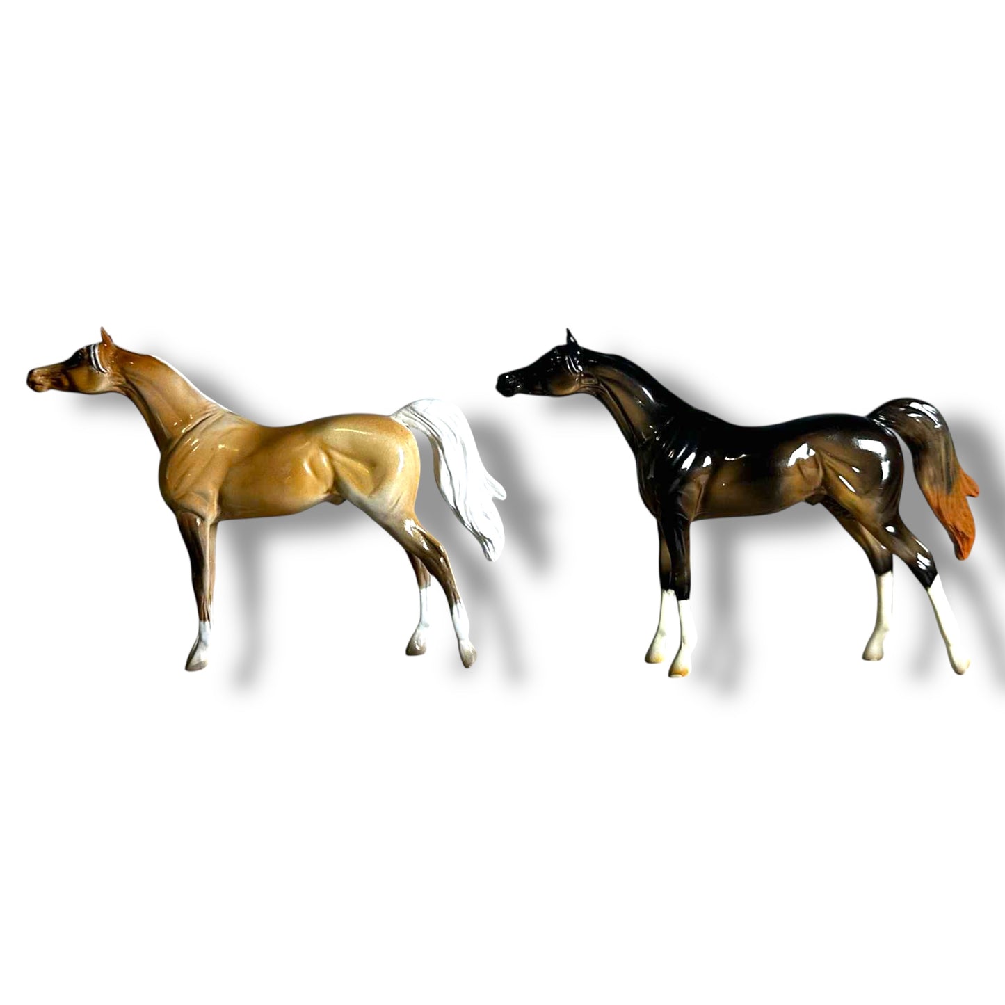 Peterstone Chip Arabian (Sold Individually)