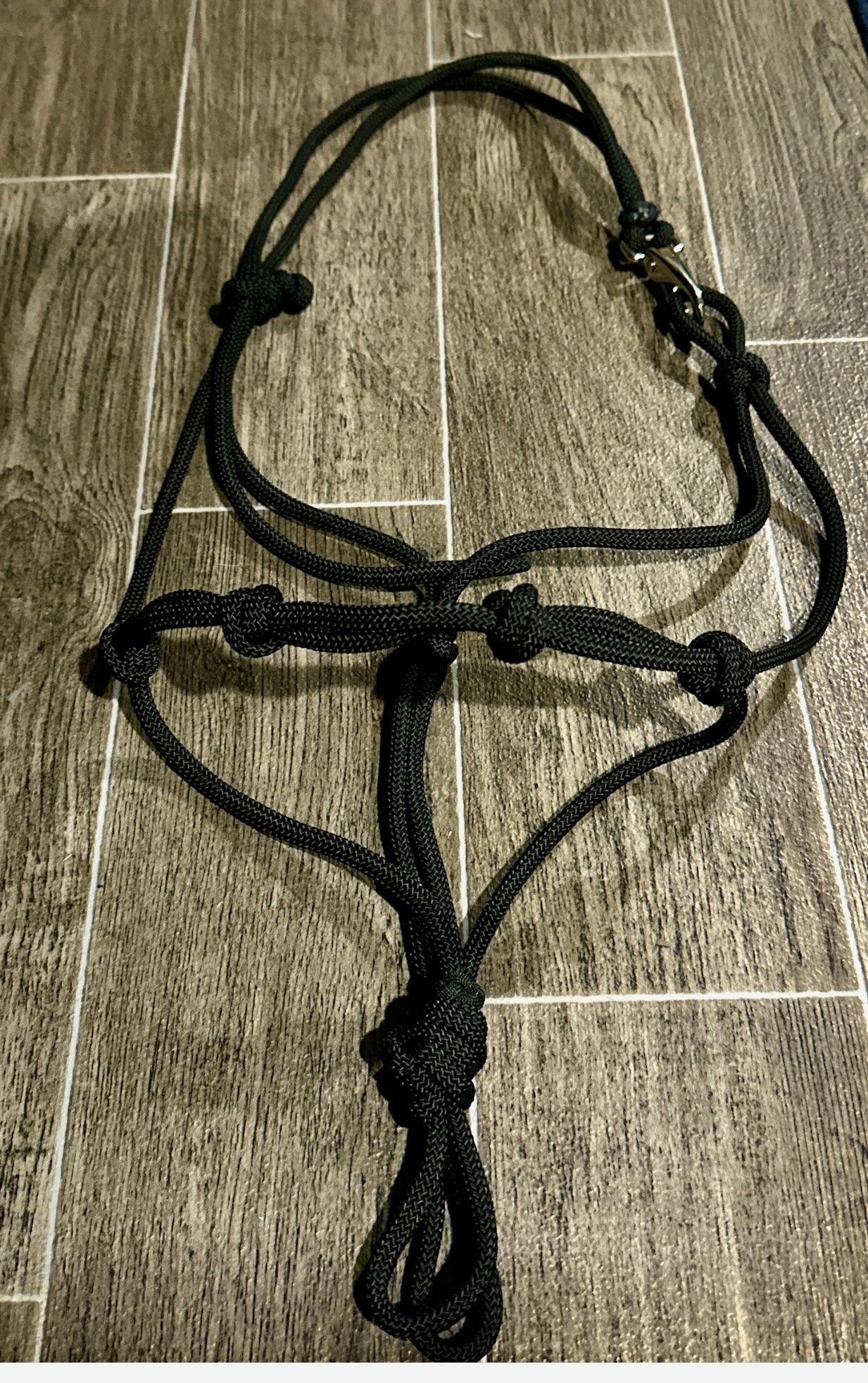 The Quick Clip Rope Halter - Cob