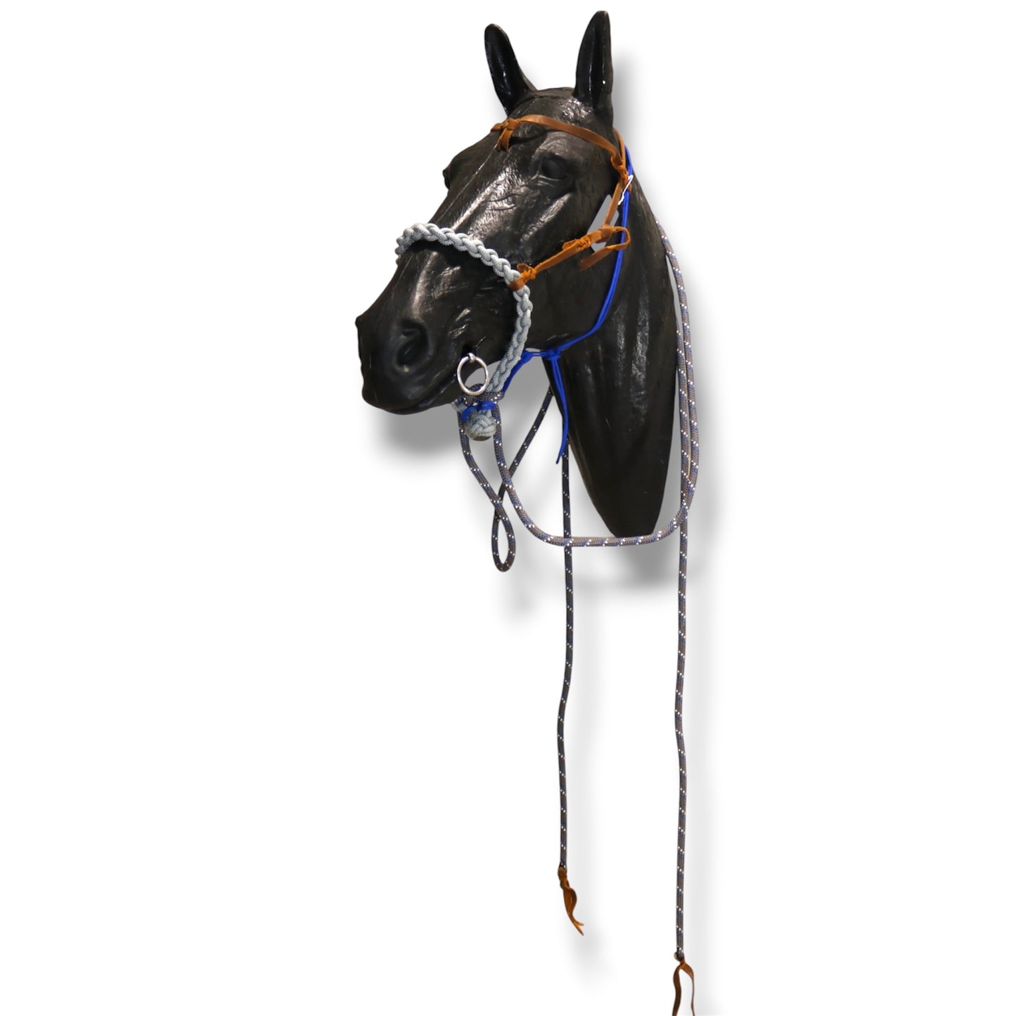 SCR Braided Loping Hackamore Set