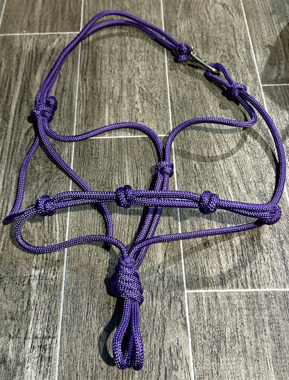 The Quick Clip Rope Halter - Cob