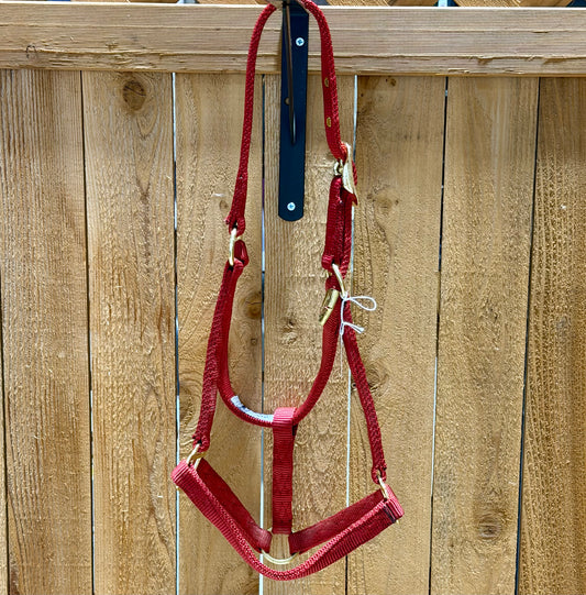 Like New Hamilton Nylon Halter – Average Arabian Horse – Deep Red