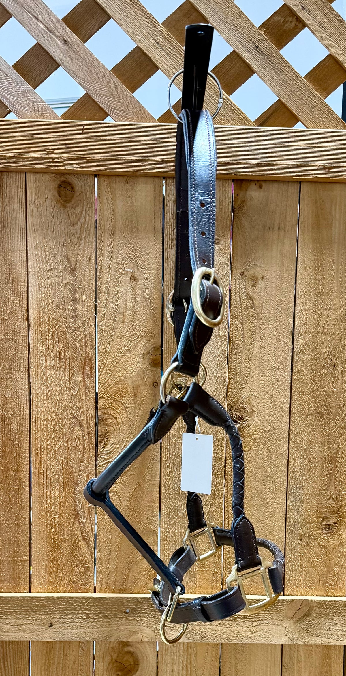 Used Leather Halter with Braided Noseband & Cheeks