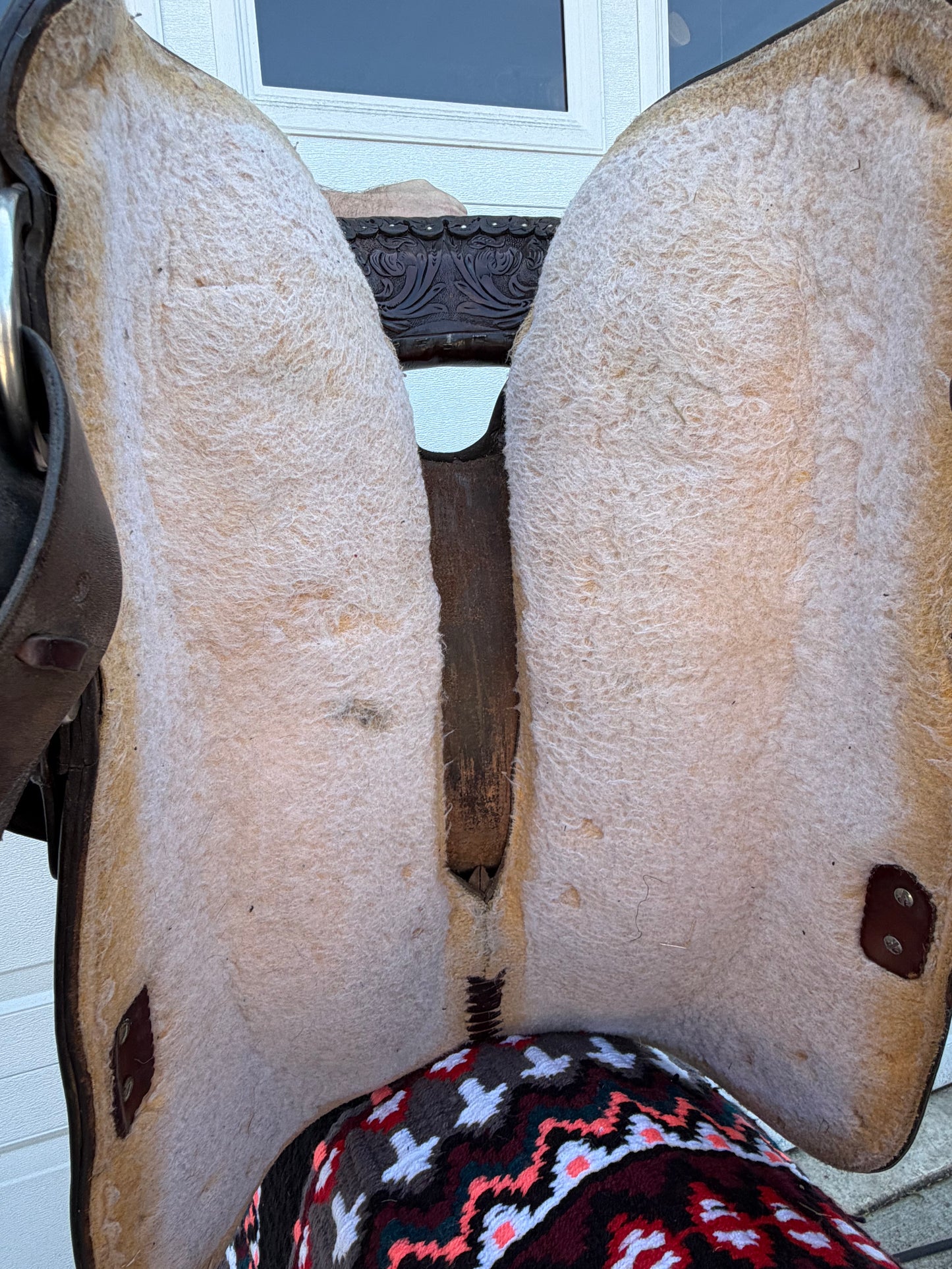 Circle Y Equitation Show Saddle|15.5” Seat|Model 2190