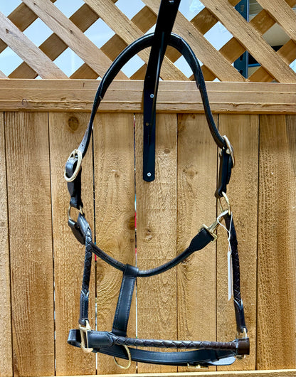 Used Leather Halter with Braided Noseband & Cheeks