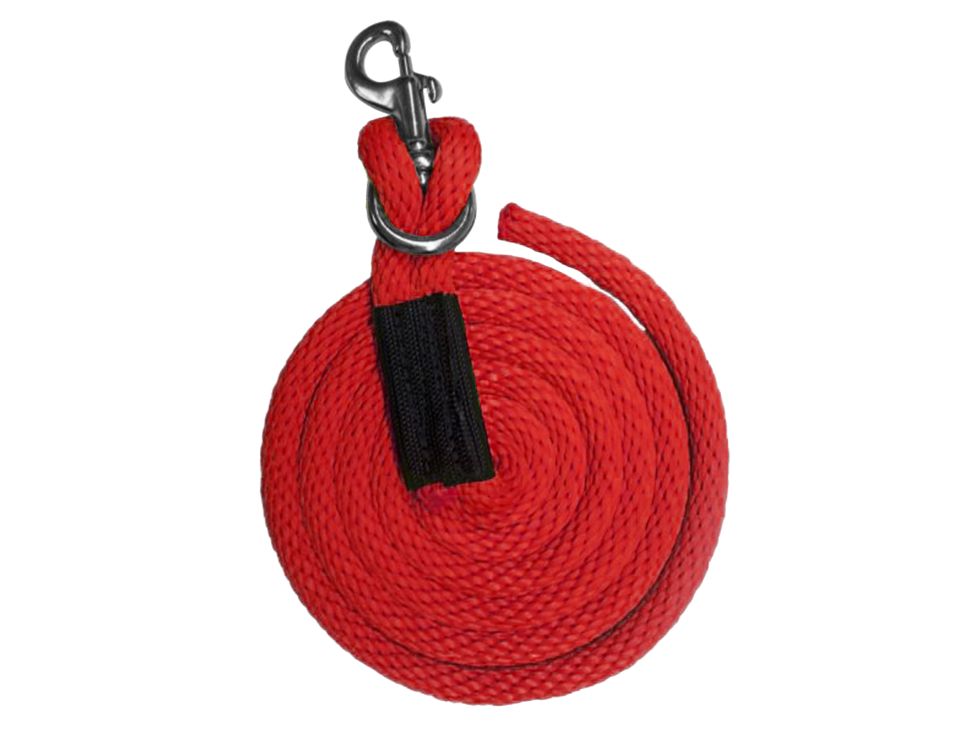 8 ft. Derby Lead with Removable Snap