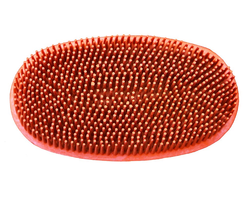 Oval Face Curry Grooming