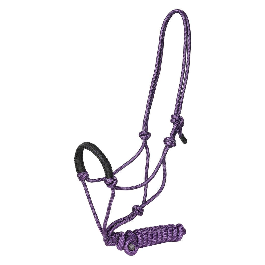 Rope Halter with Braided Noseband and Matching Lead Rope