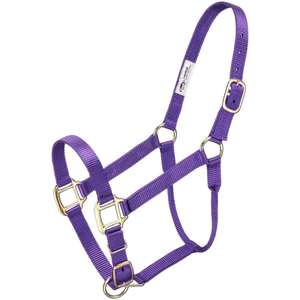 Premium Halter – Horse