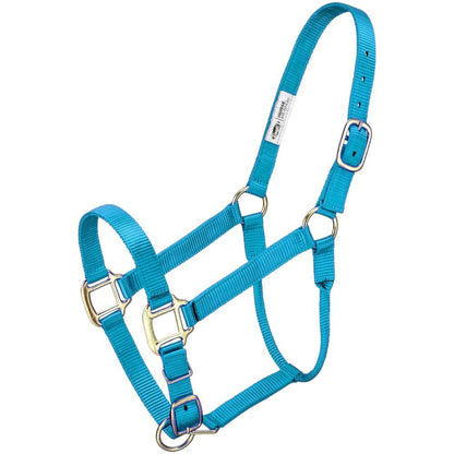 Premium Halter – Horse