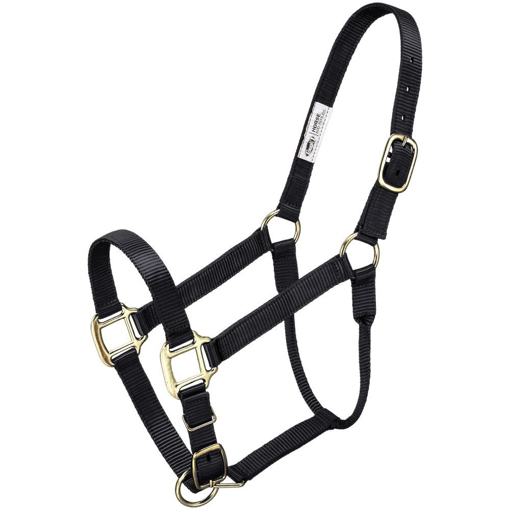 Premium Halter – Horse