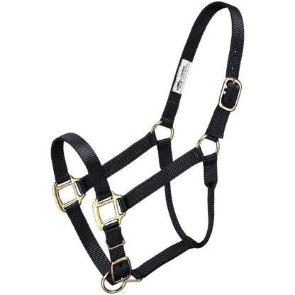 Premium Halter – Horse