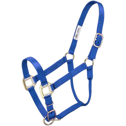 Premium Halter – Horse