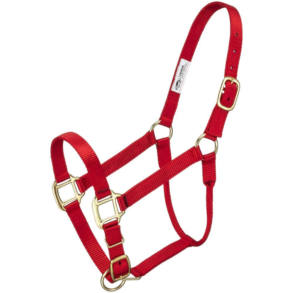 Premium Halter – Horse