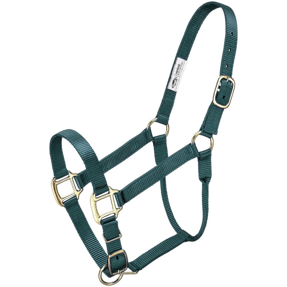 Premium Halter – Horse