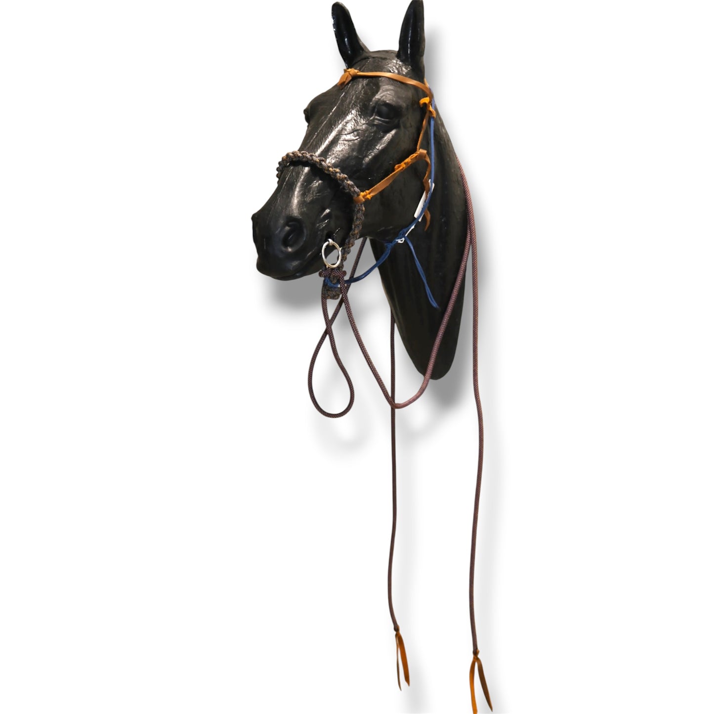 SCR Braided Loping Hackamore Set
