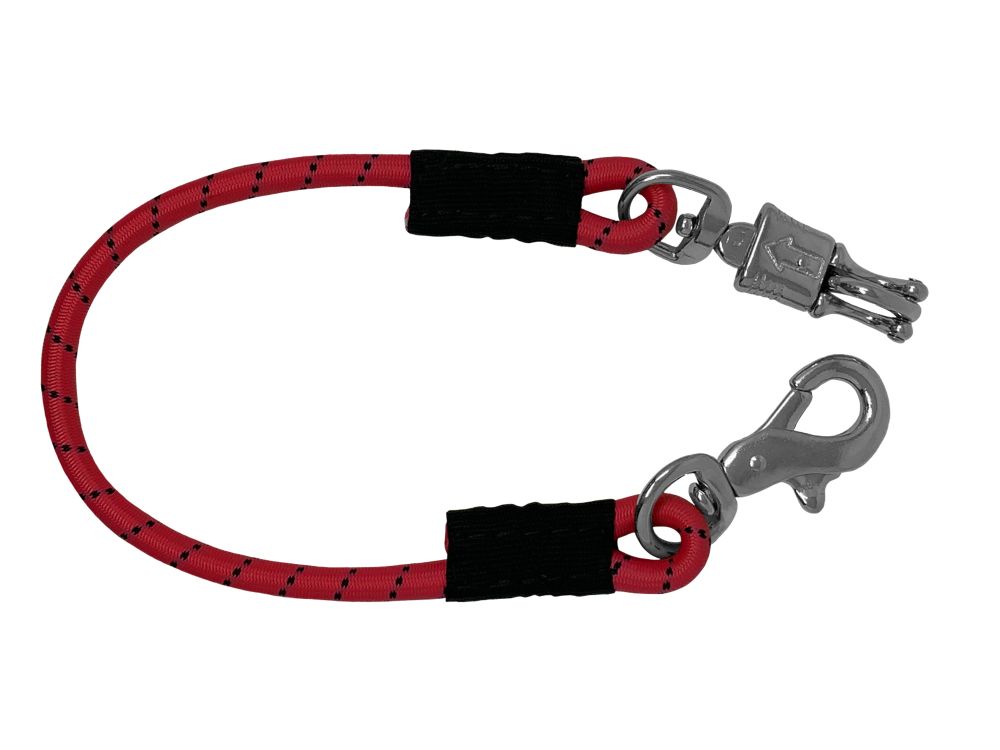 Bungee Trailer Tie